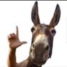 Ap.¹³'s profile picture