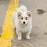 Profilbild von 一尊维尼熊