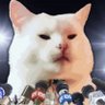 Smudge The Insult Cat 🐀's profile picture