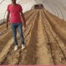 مهندس زراعي جمال محمود profil fotoğrafı