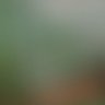 ()'s profile picture