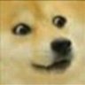 Profilbild von kaaN