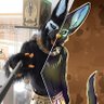 Фото профиля darkskull66_Fursuiter