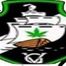 maconheiro paraense 的头像