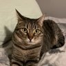 Freya's profile picture