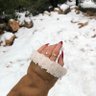 اميرة profil fotoğrafı