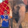 Aakash Tilwani's profile picture