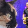 Sarah B.'s profile picture