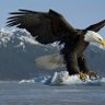عبدالكريم العابد profil fotoğrafı