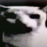P4810's profile picture