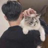 久川's profile picture