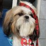 Profilbild von Lilo De Souza