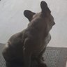 NoMoreChances4u 的头像