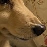 うえな 的头像