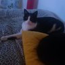 nanou92 profil fotoğrafı