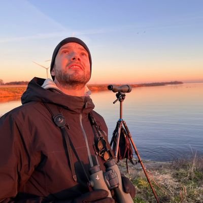 Dirk van Straalen's profile picture