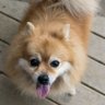 みぴもん's profile picture