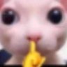 theonesus's profile picture