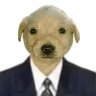 Profilbild von Usuario 02