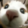 le le's profile picture