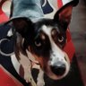 Linda K's profile picture