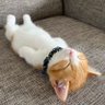 ☀️ たける ☀️ 的头像
