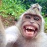 GWizz's profile picture