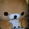 しべあ's profile picture