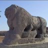 Фото профиля AliAlsaddi