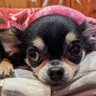 maruko profil fotoğrafı