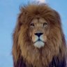 BİR ASLAN 的头像