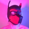 Profilbild von Pup Rio//SubScottish ➡ FWL