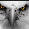Anti-Corruption Eagle's profile picture