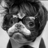 Shawn Sparks's profile picture