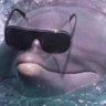 Profilbild von Avery