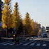 らんまるこ 的头像