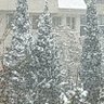 Reggi profil fotoğrafı