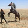 Фото профиля Omar Faruq