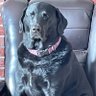Claude's profile picture