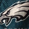 Steve Dynasty FF 🦅 的头像