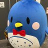 エイワ🌈's profile picture