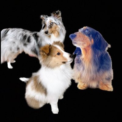 アクラピネル💎's profile picture