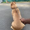 Steevy Cool profil fotoğrafı