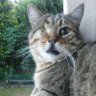 Profilbild von Paola STV