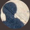 ilopnmo's profile picture