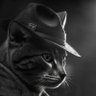 metoR 🧮🏴☠️ 🧋's profile picture