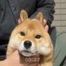Profilbild von 小和田桃卖