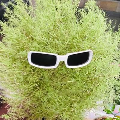 KitchenStudioX's profile picture