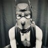 🐺 of the 🪵's profile picture