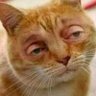 mas-mas innocent profil fotoğrafı